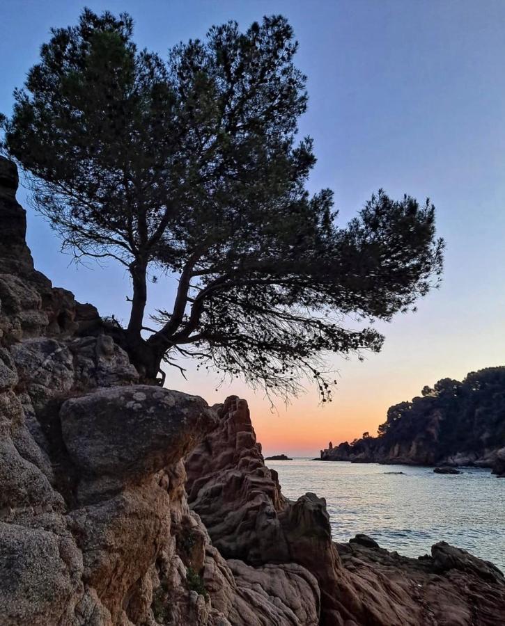 Seahomes Vacations, La Casa Blue Mediterranean Lifestyle Blanes Exteriör bild